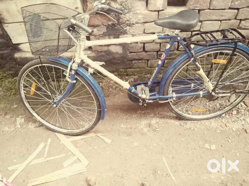 Newly cycle you can purches