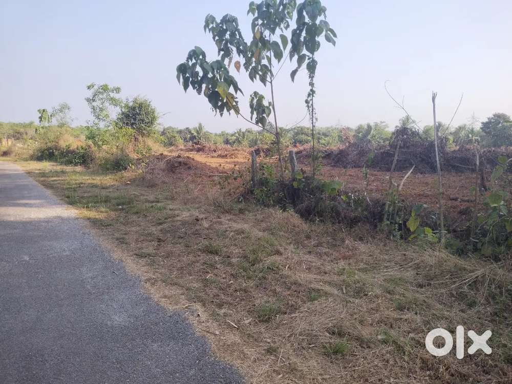 2 acre land for sale Manipal to hiriyadka road