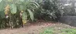 5/650 CENTS PRIME RESIDENTIAL PLOT FOR SALE NEAR KIMS HOSPITAL ANAYARA
