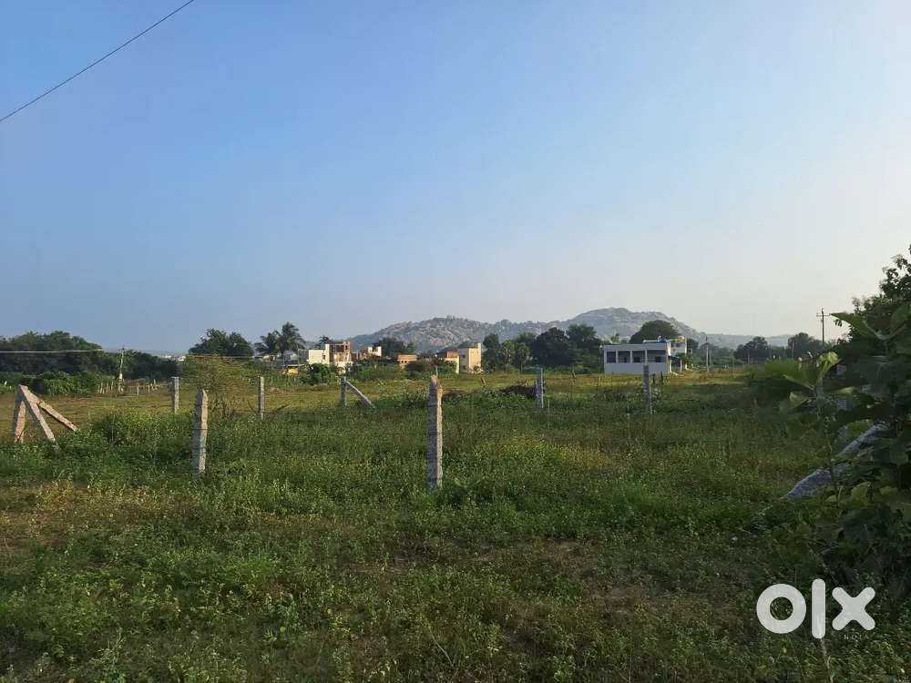 PLOT NEAR BMR GARDENS