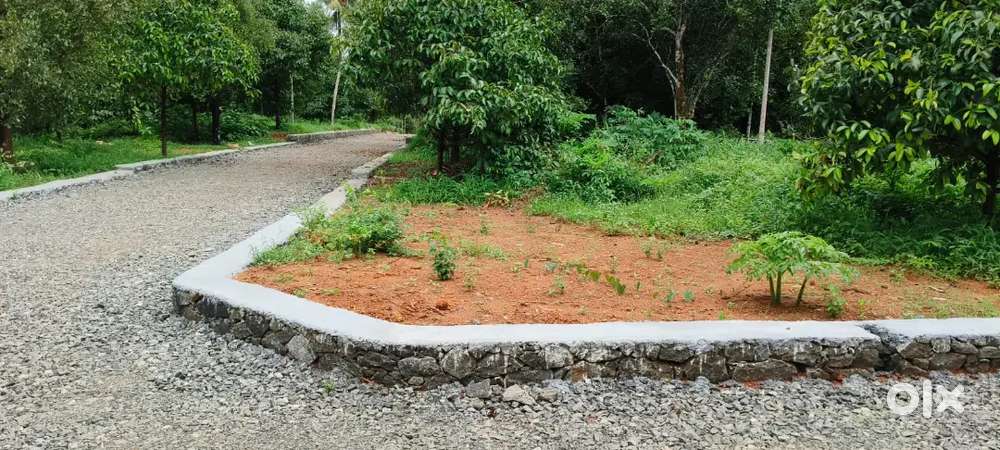 CHALAKUDY 5,6,8,10,20,CENT PLOTS AVAILABLE