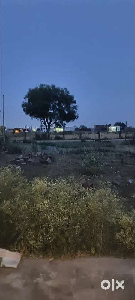 Sabse sasta pilot he full basti me he bahut achi jgeh he peso ki need