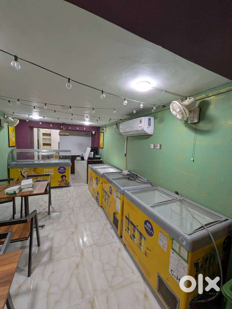 Double Door Western 550 Liters Scooping Parlour