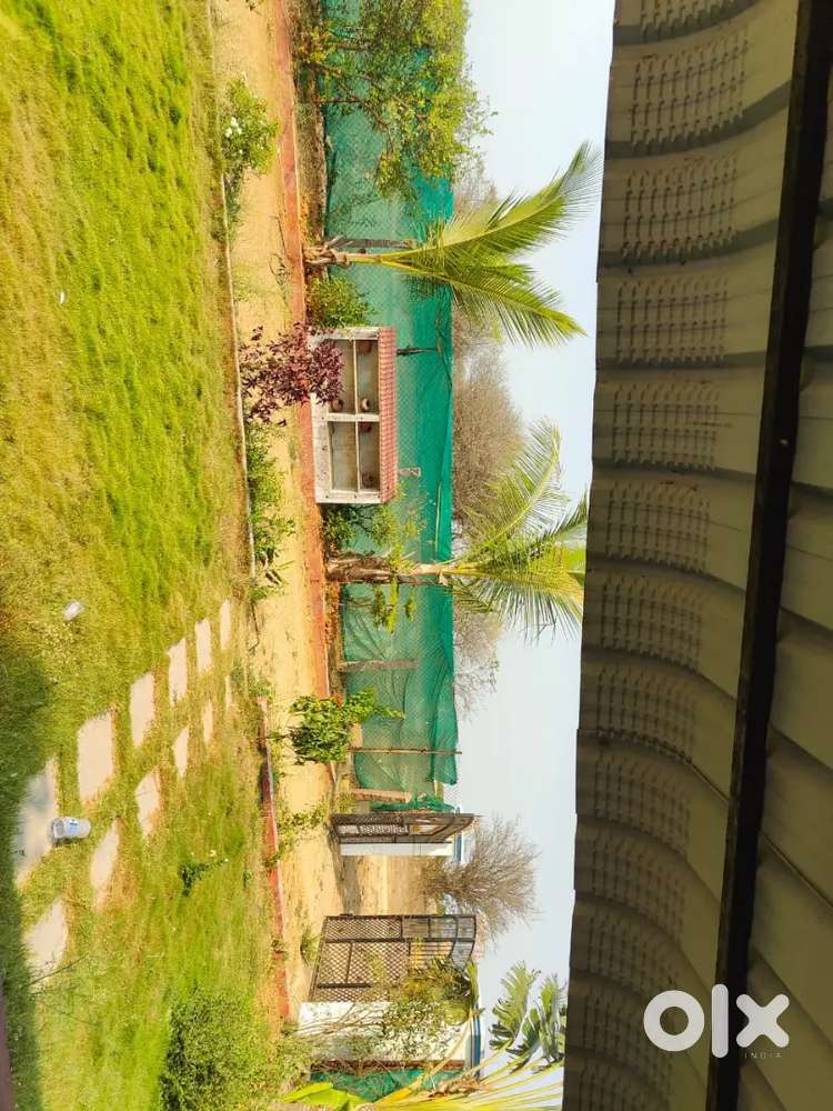 Kavali MUSUNURU teachers colony 30 ANKANAM EAST plot available