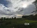 Urgent Land For Sale at prime location.