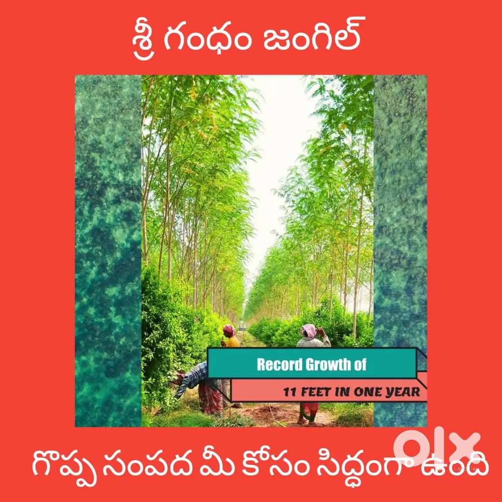 స్థలం + స్థలం పైన సంపద