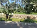 തിരുവനന്തപുരത്ത് കുറഞഞ കാശിനു കൂടുതൽ സ്ഥലം