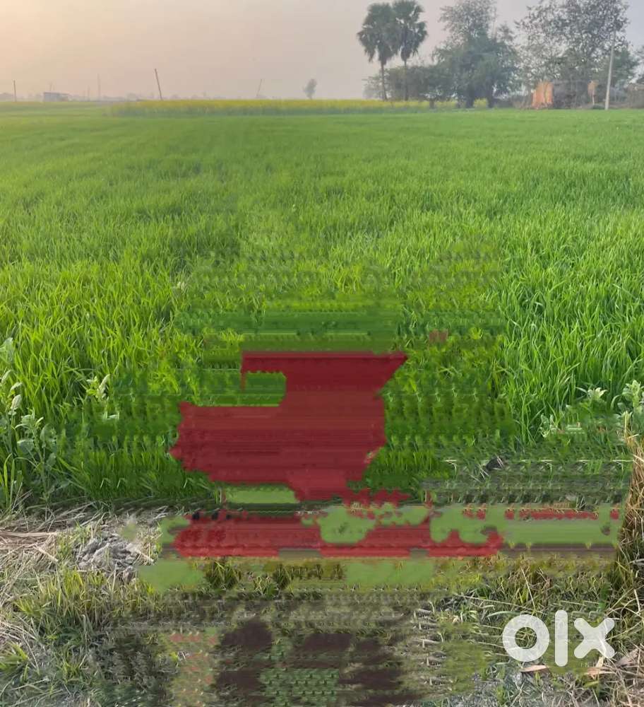 कृषि हेतु खेत बिकाऊ है Agriculture land for sale