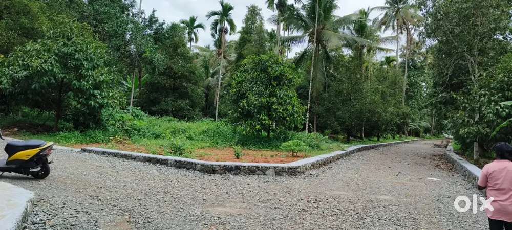 ചാലക്കുടി മുരിങ്ങൂരിന് സമീപം 4, 5, 8, 10, 20, സെൻ്റെ