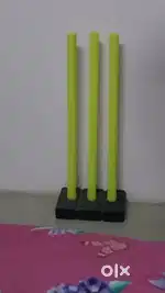 Cricket Stumps