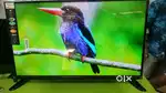 Crown smart tv wholesale