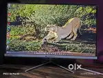 MONITOR + Hp prodesk cpu