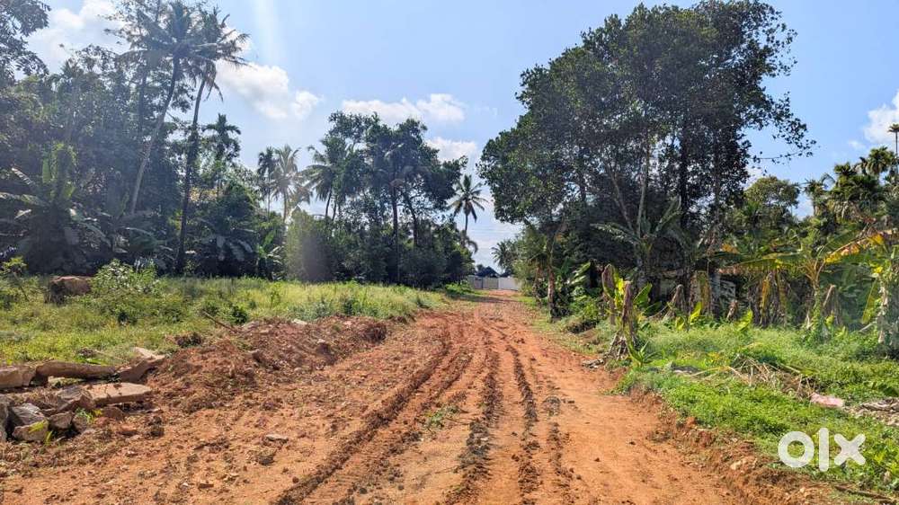 Villa Plots Near Cochin International Airport 5-15 cent-Free Reg