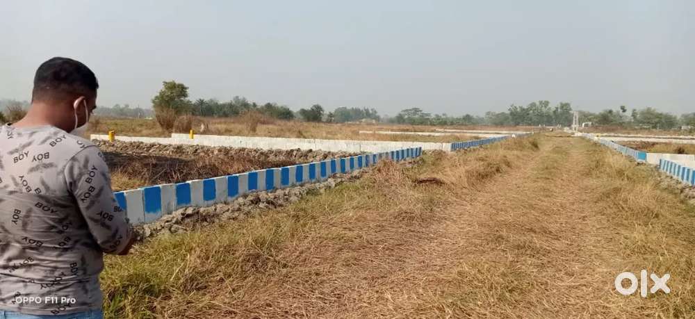 Your dream plot is waiting for you