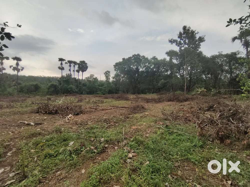 2 acre flat land for rent - varukkunu,Kannambra,vadakkenerry, palakkad