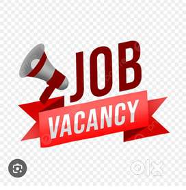 Looking ITI & Diploma Mechanical candidates job at schwing stetter