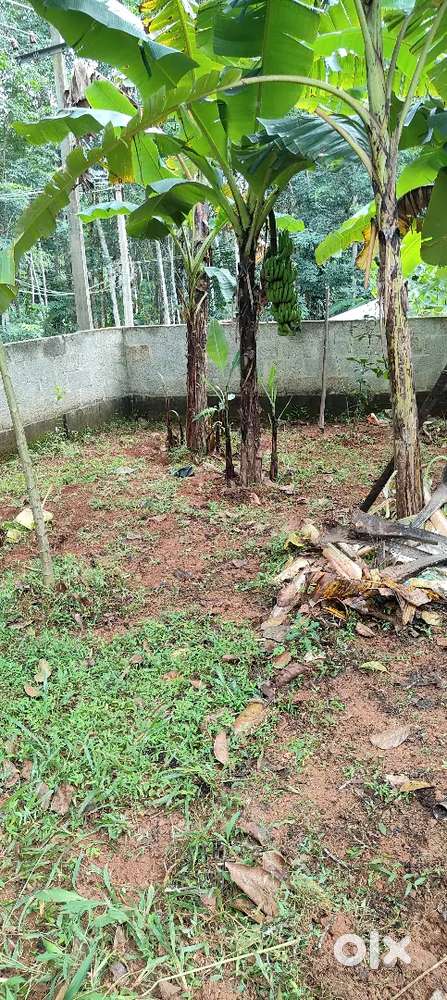 5.210 cent near Pothencode Junction