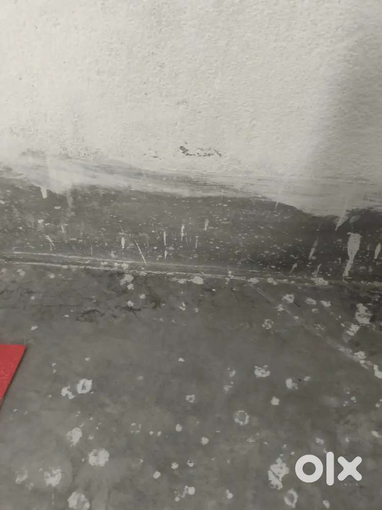 Need roommate urgent for One Girl only