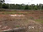 Green Acres, BMRDA A Katha, Plot for sale in Chandapura