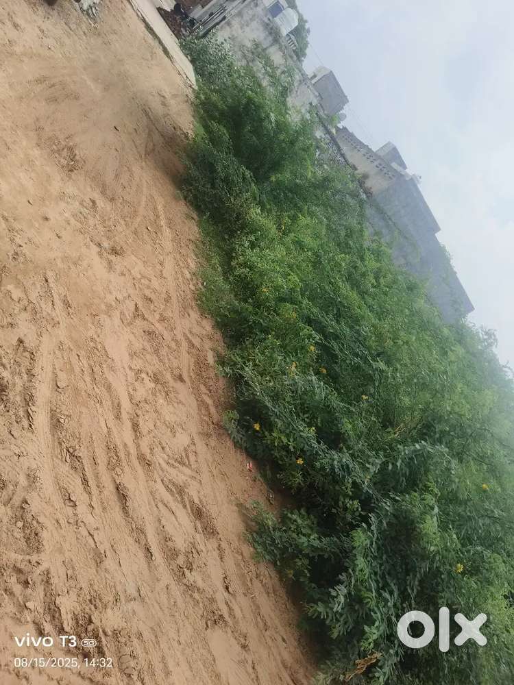 Plot availble for sale