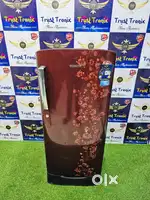 Samsung 5 star Ratings Flower Design Single Door Fridge With stand