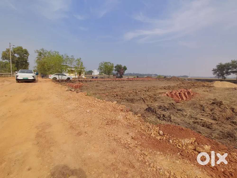 OFFER!!! OFFER!! OFFER!! LIMITED TIME PERIOD