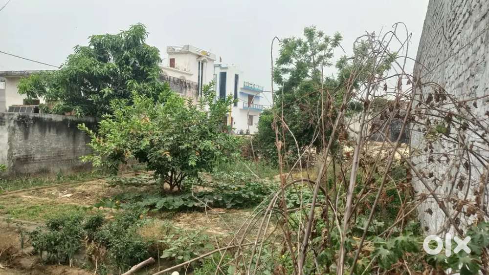 210 gaz plot near barrier 2