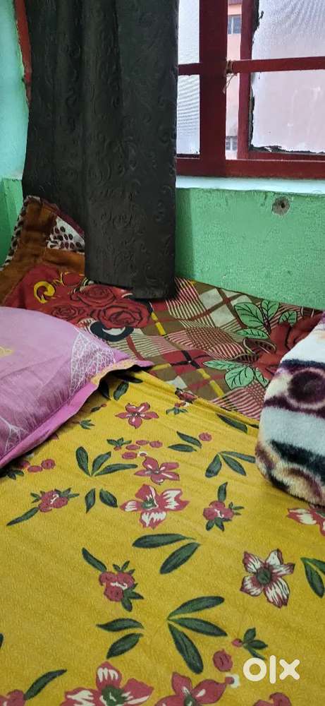 Girl Roommate required.