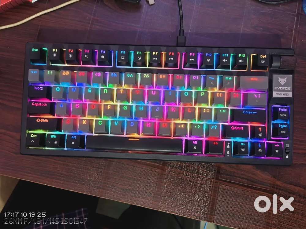 Evofox ronin mechanical gaming keyboard