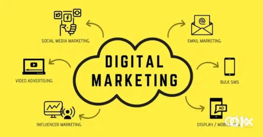 Digital marketing executive