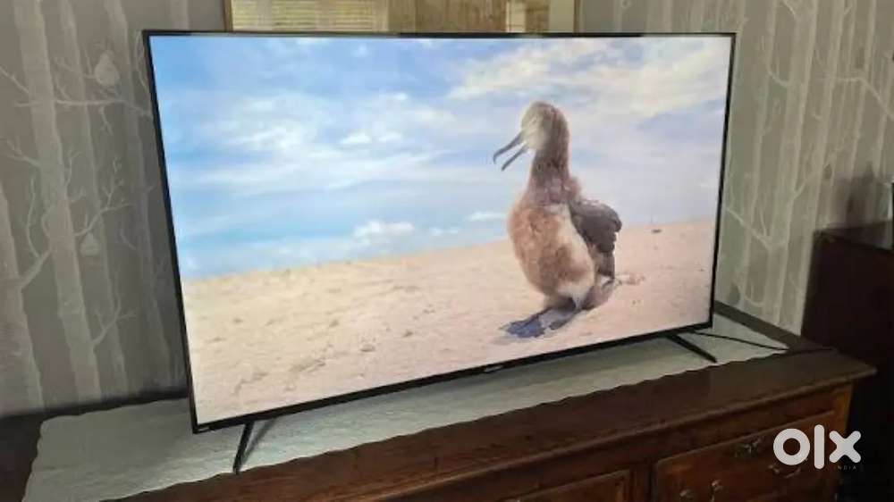 43 inch smart android frameless led tv with 600 channel free in tv