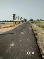 45 acre land for sale vepathur