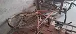 Ranger cycle
