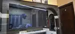 Samsung qn90b 65 inch tv