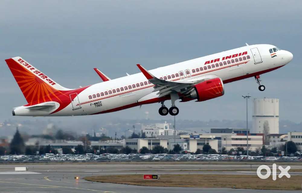 Apply for ground staff and ticketing in Cochin international airport