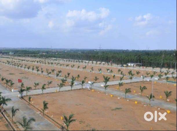 ''Your Dream Plot, BIAAPA Certified”