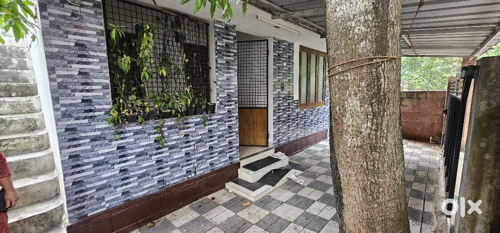 House  in chakka city for otti/lease