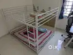 Kids Bunk Double Bed Size