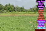 1 ஏக்கர் 45 லட்சம் முதல் விவசாய நிலம் விற்பனைLandforsales
