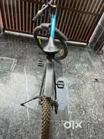 Raleigh cycle