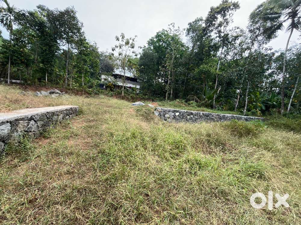 16.5 cent plot for sale in Aranmula , flood free good location