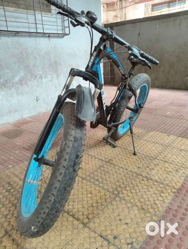 Fat tyre cycle