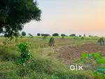 N A land for rent near nalsarovar