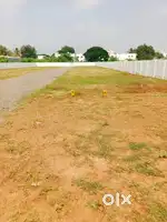 வடவள்ளி நாச்சியார் அவின்யு