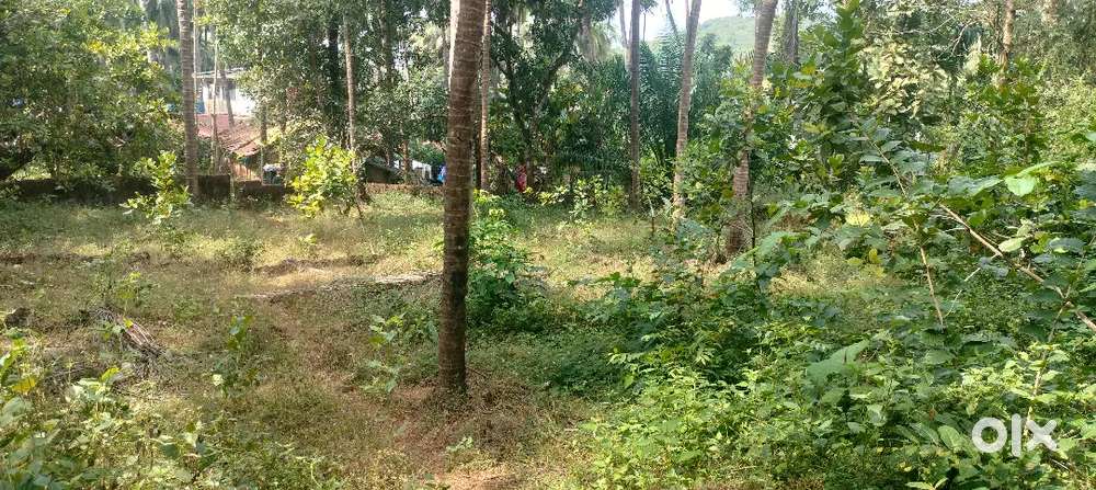 Plot for sale. Good for house