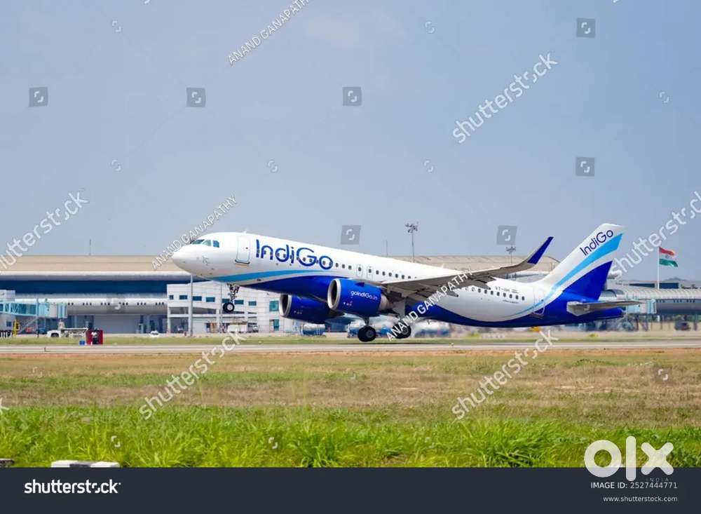 Accountant job in Cargo Warehouse On IGI Airport for Experienced