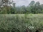 Residential land for sale