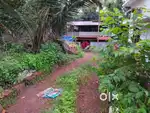 5CENT PLOT IN TALAP-7. 2/CENT