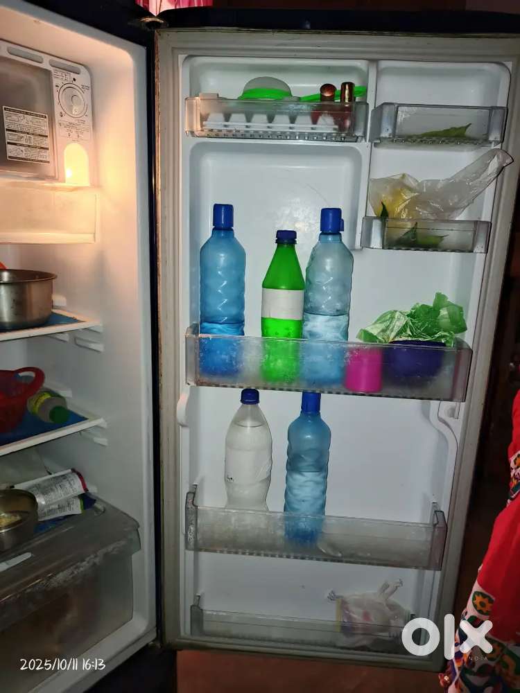 Lg refrigerator 2024 model