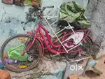 BSA LADYBIRD 1 And Childern Learning  Cycles 1